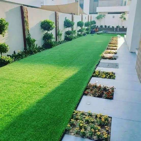 Office Greenery